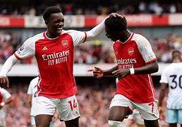 阿森纳主场击败狼队，英超升班马遭遇强劲对手的简单介绍